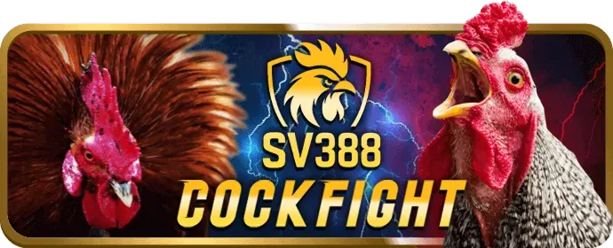 Biểu tượng mạng xã hội của 678vip chính thức